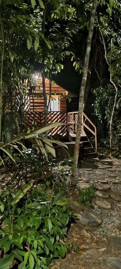 Refugio Samauma Hotel Manaus Eksteriør billede