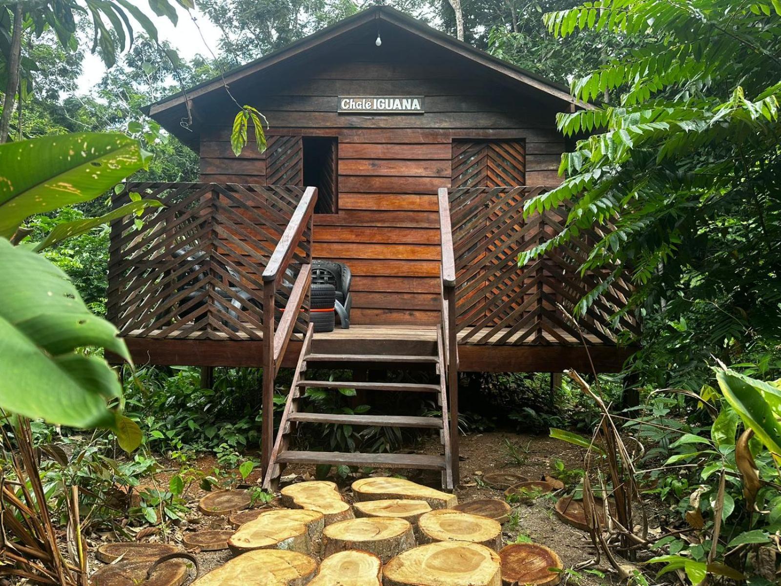 Refugio Samauma Hotel Manaus Eksteriør billede